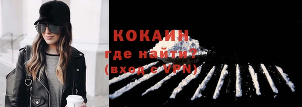 спиды Богданович